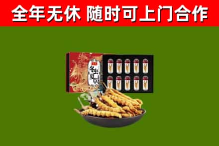 曾都回收冬虫夏草价格